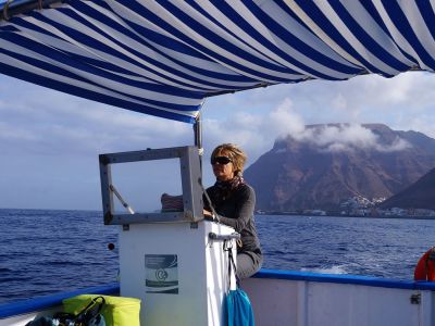 whale watching mit guide oceano gomera