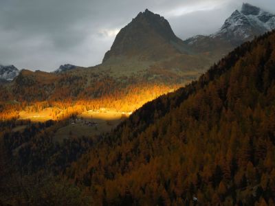 bergerlebnis monte rosa alpen wandern