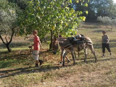 familienwandern mittelitalien toskana cecina