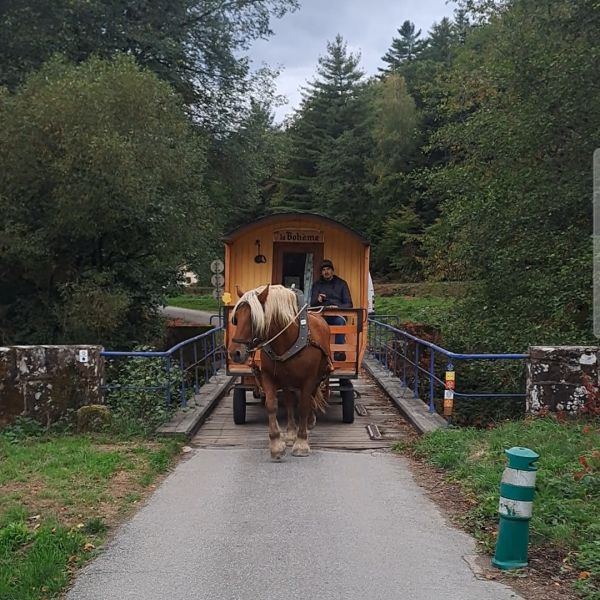 Planwagen-Urlaub in den Vogesen - Frankreich