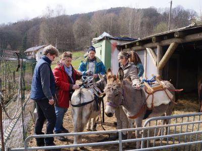 Eselwandern Bayerischer Wald Einfhrung