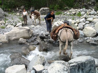 Flussberquerung im Parc du Mercantour.