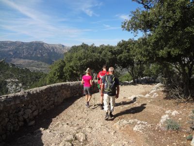 wanderer castell alaro orient mallorca