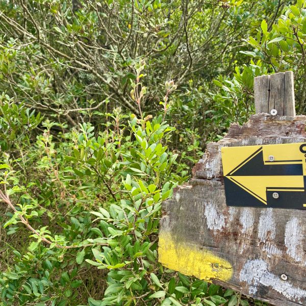 Wanderurlaub auf Korfu ohne Gepck: Der Korfu-Trail