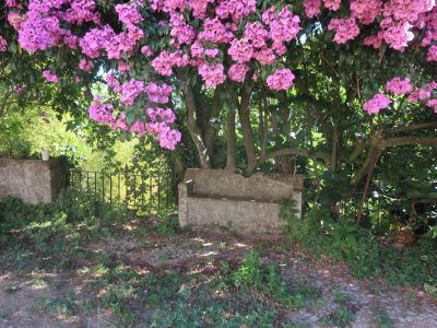 Erholungsurlaub fr Familien in Portugal