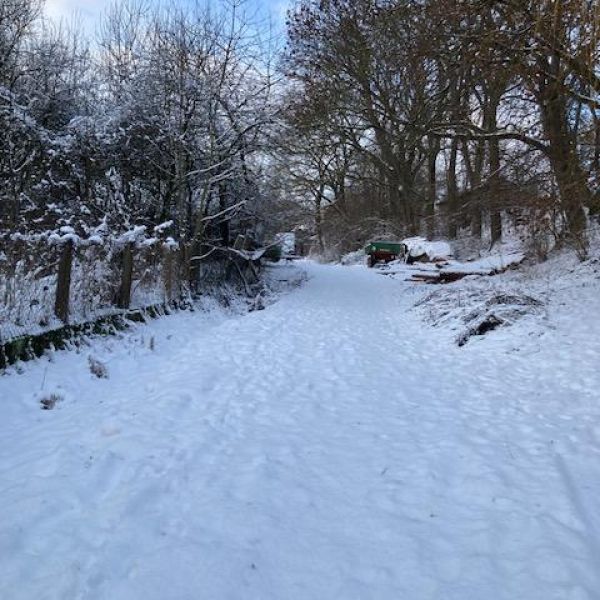 Bio-Pension im Dreil�ndereck - Niedersachsen