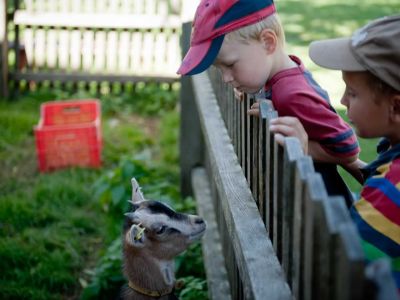 tiere bauernhof urlaub mit kind