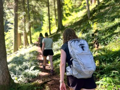 Wald Wandern Gepcktransport Calvados