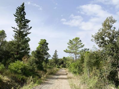 Hauptweg im Naturschutzgebiet Monterufoli-Caselli