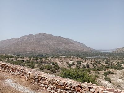 Vegetation Tilos